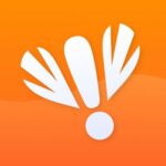 BusyFly компания кикшеринг