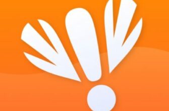 BusyFly компания кикшеринг