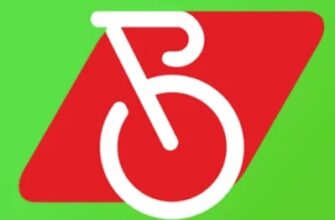 кикшеринг зеленый город